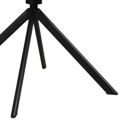 Draaibare Eetkamerstoel Bjorna Beige