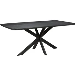 Eettafel Holendrecht Zwart - 200x100 cm