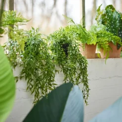 Hangplant Bamboo Groen - 50 cm hoog