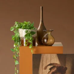 Hangplant Philodendron Groen - 90 cm hoog