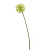 Kunstbloem Allium Groen - 60 cm