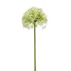 Kunstbloem Allium Groen - 62 cm