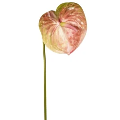 Kunstbloem Anthurium Groen / Roze - 65 cm