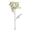 Kunstbloem Dill Wit / Groen - 76 cm