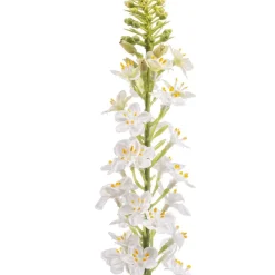 Kunstbloem Lysimachia Crème - 66 cm