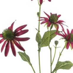 Kunstbloem Rudbeckia Fuchsia - 70 cm