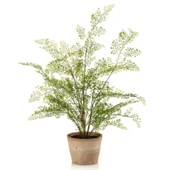 Kunstplant Adianthum Fern Groen - 65 cm hoog