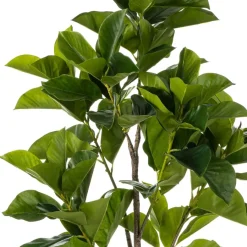 Kunstplant Ficus Benghalensis Groen - 170 cm hoog