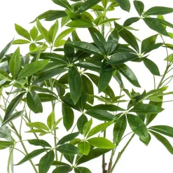 Kunstplant Pachira Groen - 150 cm hoog