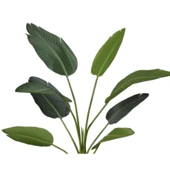 Kunstplant Strelitzia Groen - 230  cm hoog