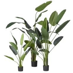 Kunstplant Strelitzia Groen - 230  cm hoog