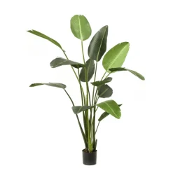 Kunstplant Strelitzia Groen - 230  cm hoog
