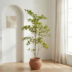 Kunstplant Terminalia Groen - 145 cm hoog