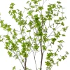 Kunstplant Tropaeolum Speciosum Groen - 120 cm hoog