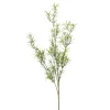 Kunsttak Asparagus Groen - 80 cm