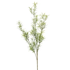 Kunsttak Asparagus Groen - 80 cm