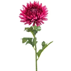 Kustbloem Mum Fuchsia - 72 cm