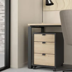 Ladekast Bram Donkergrijs / Eiken - 41x61x49 cm