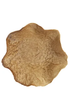 Light - Living Light & Living Schaal Banda Bruin - 34x31 cm