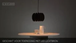 Lucide Hanglamp Spencer Zwart - E27 - Ø 30 cm