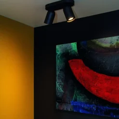 Lucide Plafondspot Punch Zwart - 2 x GU10 - 26 cm breed