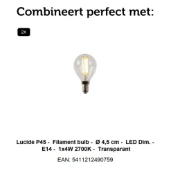 Lucide Wandlamp Ovalis Goud - 2 x E14 - 20 cm hoog