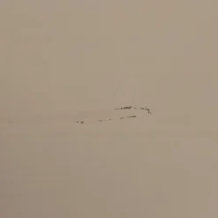 VTwonen Kast Daily Greige - 100x50x58 cm