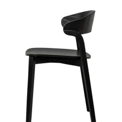 WOOOD Eetkamerstoel Cras Zwart