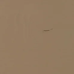 WOOOD Kistbank Turner Mud - 80x47x44 cm