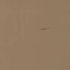 WOOOD TV-meubel Turner Mud- 120x47x44 cm