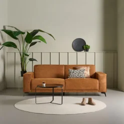 3-Zitsbank Pampus Diep Cognac